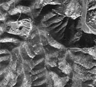 VARGAS-02.jpg (7249 bytes)