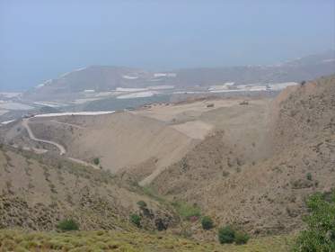 ALMENDRILLO-01.jpg (12168 bytes)