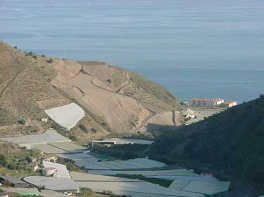 PIQUERA-03.jpg (11672 bytes)