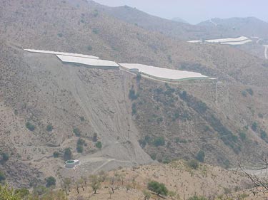 CAUTOR-O1.jpg (21157 bytes)