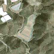 INDALECIO-04.jpg (6056 bytes)