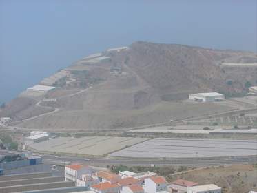 GUAPA-01.jpg (10332 bytes)